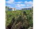 View of the community from an elevated location, showing buildings behind treetops at 4801 Osprey S Dr # 209, St Petersburg, FL 33711