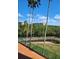 Sunny view from balcony shows buildings surrounded by green tree canopy at 4801 Osprey S Dr # 209, St Petersburg, FL 33711