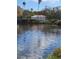 Waterfront views showcasing the community pond and ducks amid lush vegetation at 4801 Osprey S Dr # 209, St Petersburg, FL 33711