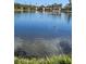 Scenic pond surrounded by lush greenery, providing a tranquil setting for residents at 4801 Osprey S Dr # 209, St Petersburg, FL 33711