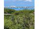 Water and treeline view, with boats in the distance at 4801 Osprey S Dr # 209, St Petersburg, FL 33711