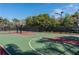 Outdoor basketball court featuring multiple hoops and well-maintained surfaces for recreational activities at 5326 Loon Nest Ct, Apollo Beach, FL 33572