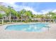 Large community pool surrounded by palm trees and lounge chairs on a sunny day at 846 Normandy Trace Rd, Tampa, FL 33602