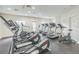 Well-equipped fitness center with multiple treadmills, ellipticals, and exercise equipment at 846 Normandy Trace Rd, Tampa, FL 33602