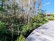 Community boardwalk featuring picturesque views of lush landscaping at 8517 Sea Harbour Ln # 103, Temple Terrace, FL 33637