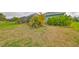 A spacious backyard offering plenty of room for outdoor activities and enjoying the natural surroundings at 11008 Sand Pine Ln, Parrish, FL 34219