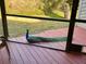 Peacock resting on a screened-in patio with a view of the green yard outside at 11743 Rolling Pine Ln, Port Richey, FL 34668