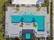 Top-down view of pool with multiple palm trees providing shade in a patio with lounge chairs at 11912 Richmond Trl, Parrish, FL 34219
