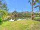 Scenic backyard view of a serene pond with lush greenery and mature trees surrounding the water at 29523 Waggle Dr, San Antonio, FL 33576