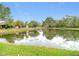 Picturesque pond reflecting the surrounding homes and trees, creating a tranquil backyard setting at 29523 Waggle Dr, San Antonio, FL 33576