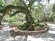 Charming park area with mature trees, winding paths, and a welcoming flower bed adding to the community's appeal at 37150 Sandra Ave, Zephyrhills, FL 33542