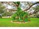 Beautifully landscaped yard featuring lush greenery, mature trees, and a charming garden bed with a small statue at 37150 Sandra Ave, Zephyrhills, FL 33542