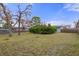 Spacious backyard with mature trees, a wood fence and a gray storage shed at 4553 Kirkland Ave, Spring Hill, FL 34606