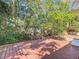 Private backyard featuring a wooden deck surrounded by lush landscaping, perfect for outdoor relaxation at 4604 Courtland St, Tampa, FL 33610