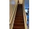 Stairway featuring hardwood steps, white risers and railings at 4915 Pond Ridge Dr, Riverview, FL 33578
