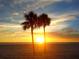 Serene beach sunset with silhouetted palm trees and ocean views, a perfect coastal escape at 7013 Boca Ciega Dr, St Pete Beach, FL 33706