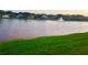 Scenic view of the pond, showcasing waterfront living and community ambiance at 10251 Oasis Palm Dr, Tampa, FL 33615