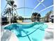 Enjoy this screened-in pool with a beautiful lake view that is perfect for relaxing and entertaining guests at 10251 Oasis Palm Dr, Tampa, FL 33615