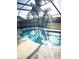 Beautiful pool with a screened enclosure, capturing reflections of palm trees and the bright, sunny sky at 10251 Oasis Palm Dr, Tampa, FL 33615