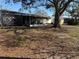 A view of the backyard that has a screened in patio and a large shade tree with the house in the background at 11470 88Th Ter, Seminole, FL 33772