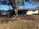 Backyard view of the house with a screened in patio, a mature shade tree, and lush ground cover at 11470 88Th Ter, Seminole, FL 33772