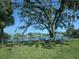 Lake view, with trees, fountain, and a bench at 12287 Country White Cir, Tampa, FL 33635