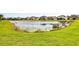 Pond with lush greenery around the shore at 2604 Dakota Rock Dr, Ruskin, FL 33570