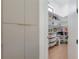 A large pantry with ample shelving and storage space at 4110 W Swann Ave, Tampa, FL 33609