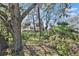 The backyard offers natural landscaping with mature trees and lush greenery, providing a sense of privacy at 4928 Petunia Ct, New Port Richey, FL 34652