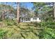 Backyard featuring lush green grass and mature trees, perfect for outdoor activities at 4928 Petunia Ct, New Port Richey, FL 34652