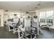 Well-equipped gym featuring modern weight training machines in a bright, spacious setting at 628 Arbor Lake Ln, Tampa, FL 33602