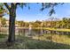 Beautiful lakeside view of condos and trees at 628 Arbor Lake Ln, Tampa, FL 33602