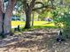 Scenic backyard with mature trees, lush green grass, and a bench, offering a peaceful outdoor space at 7623 Radcliffe Cir # 211A, Port Richey, FL 34668
