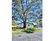 An exterior view of the property with a large oak tree in the front yard and bench at 7623 Radcliffe Cir # 211A, Port Richey, FL 34668