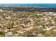 Beautiful aerial view of the neighborhood with mature trees and proximity to the water at 1240 Ridgegrove S Dr, Palm Harbor, FL 34683