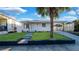 Charming single-story home with a well-manicured front yard and a lovely palm tree at 2540 W Pine St, Tampa, FL 33607