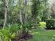 Lush greenery surrounds the lawn in the backyard at 4224 Preserve Pl, Palm Harbor, FL 34685