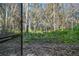 View of the natural wooded yard from the screened porch of the home at 887 Lucas Ln, Oldsmar, FL 34677