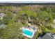 Aerial view of a clear blue community pool surrounded by Florida trees and shrubbery at 887 Lucas Ln, Oldsmar, FL 34677
