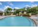 Beautiful community pool with a slide and lush landscaping, perfect for Gathering fun and recreation at 11008 Tahiti Isle Ln, Tampa, FL 33647