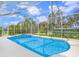 Beautiful screened-in pool area with crystal clear water and inviting landscaping at 1545 Deerbourne Dr, Wesley Chapel, FL 33543