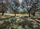 Expansive yard with large mature trees providing shade and a distant view of a white fence at 6240 99Th Cir N, Pinellas Park, FL 33782