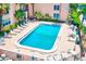 Aerial view showcasing the pool surrounded by lounge chairs and tropical greenery at 7420 Bay Island S Dr # 281, South Pasadena, FL 33707