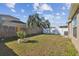 Nice fenced backyard with green grass and a stone firepit at 8133 Canterbury Lake Blvd, Tampa, FL 33619
