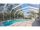 Screened-in pool and patio area surrounded by a lush green forest at 12545 Leatherleaf Dr, Tampa, FL 33626
