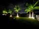 Backyard illuminated at night featuring vibrant landscaping and several stately palm trees at 13359 Orca Sound Dr, Riverview, FL 33579