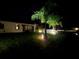 Nighttime view of the home's backyard with elegant landscaping and tall palm trees at 13359 Orca Sound Dr, Riverview, FL 33579