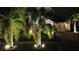 Exterior view of a home at night with landscape lighting showcasing lush palm trees at 13359 Orca Sound Dr, Riverview, FL 33579