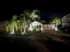 Night view of the home's exterior highlighting the landscaped front yard with palm trees at 13359 Orca Sound Dr, Riverview, FL 33579