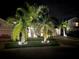 Well-lit front yard showcases lush landscaping and mature palm trees at night at 13359 Orca Sound Dr, Riverview, FL 33579